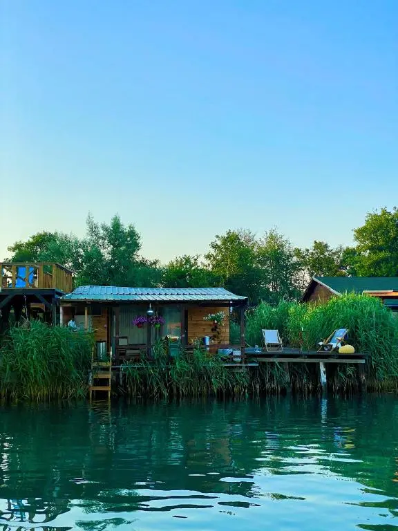 img_id_2360774.webp