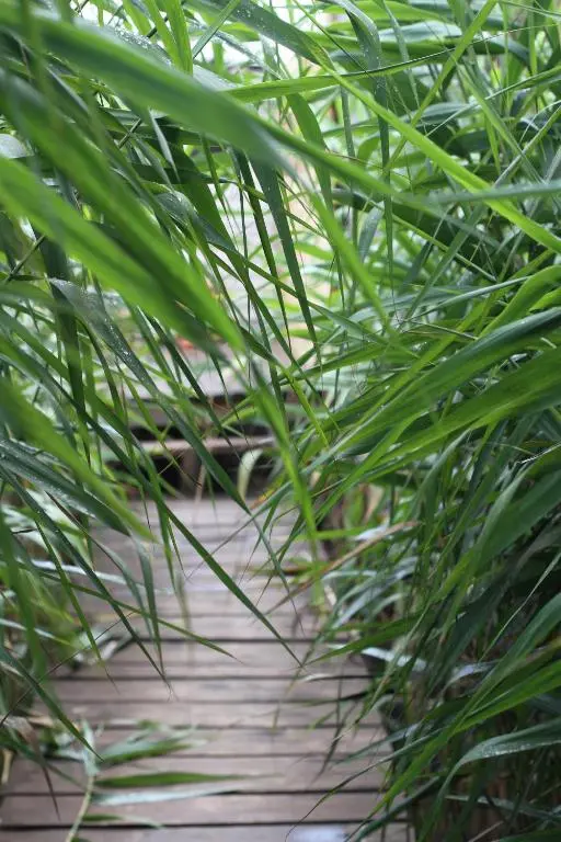 img_id_2360809.webp