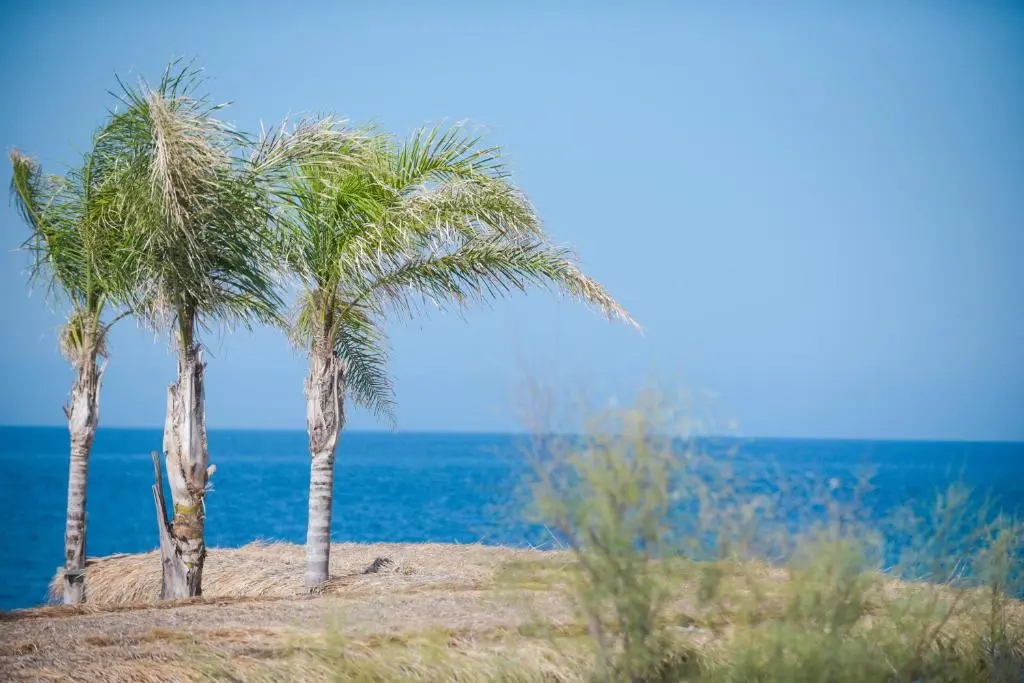 img_id_1687974.webp