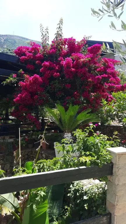 img_id_1688006.webp