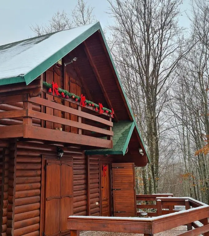 img_id_2357924.webp