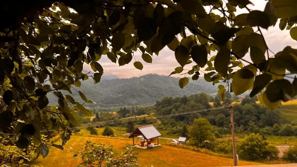 img_id_2357780.webp