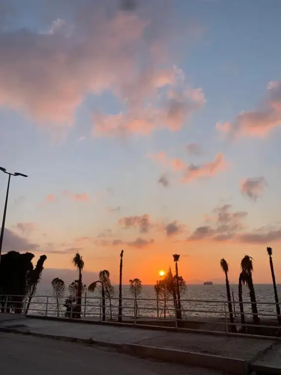 img_id_537280.webp