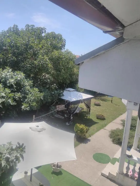 img_id_2356533.webp