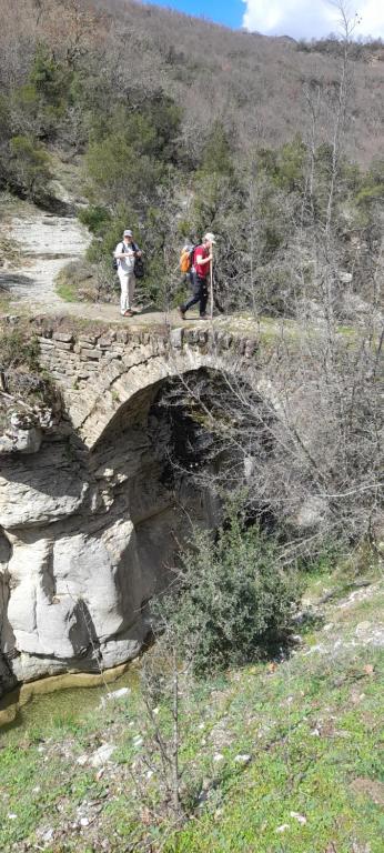 img_id_949144.jpg
