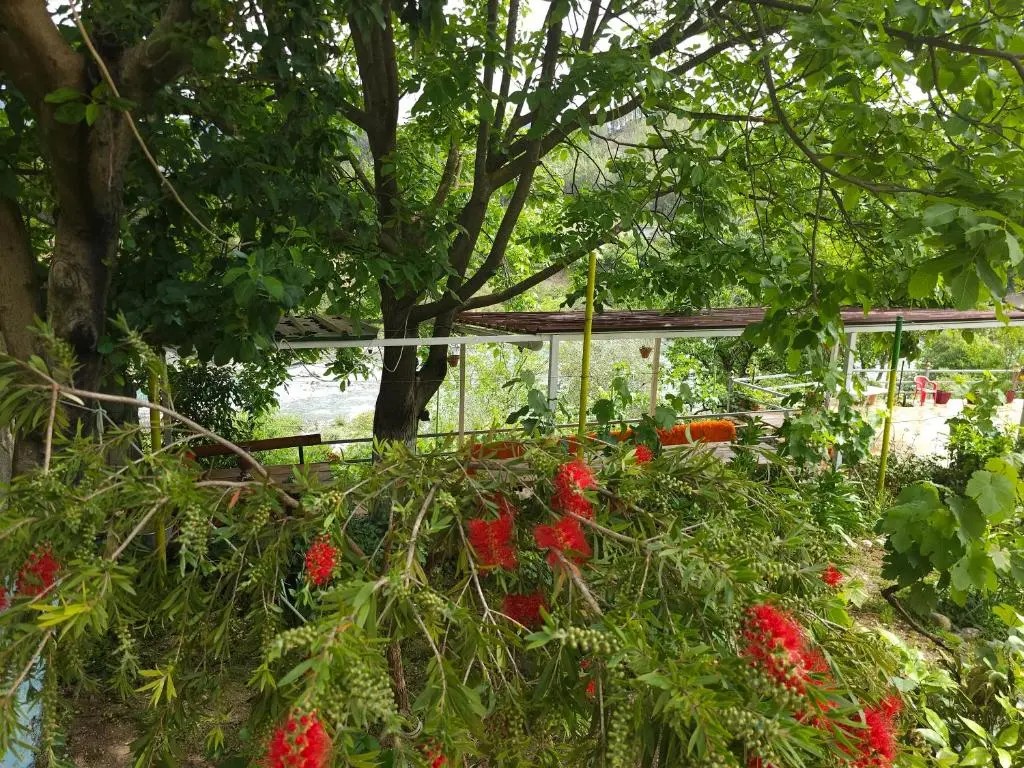 img_id_949188.webp