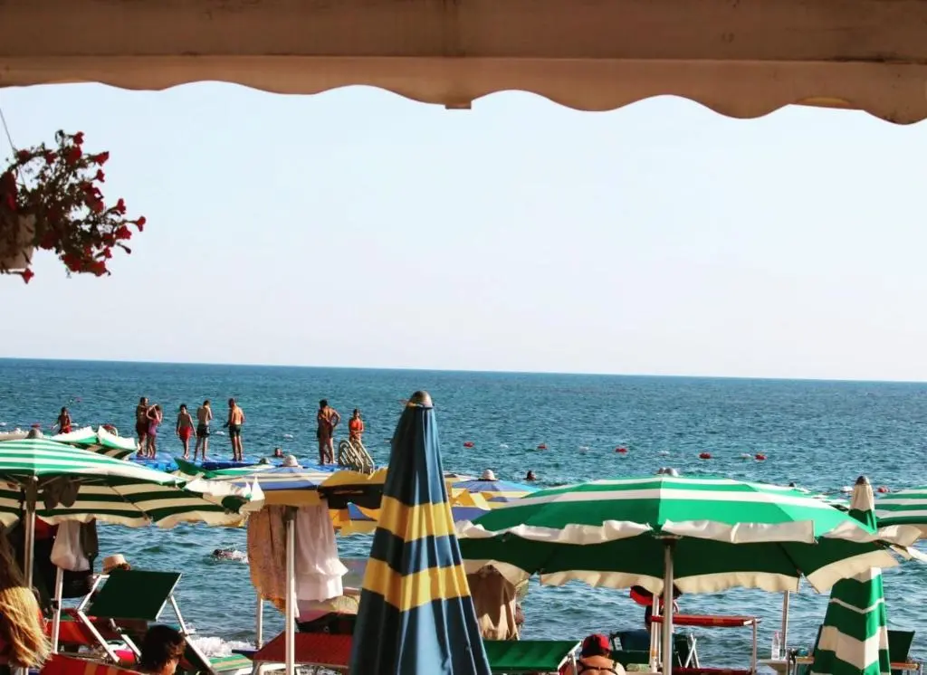 img_id_1668240.webp