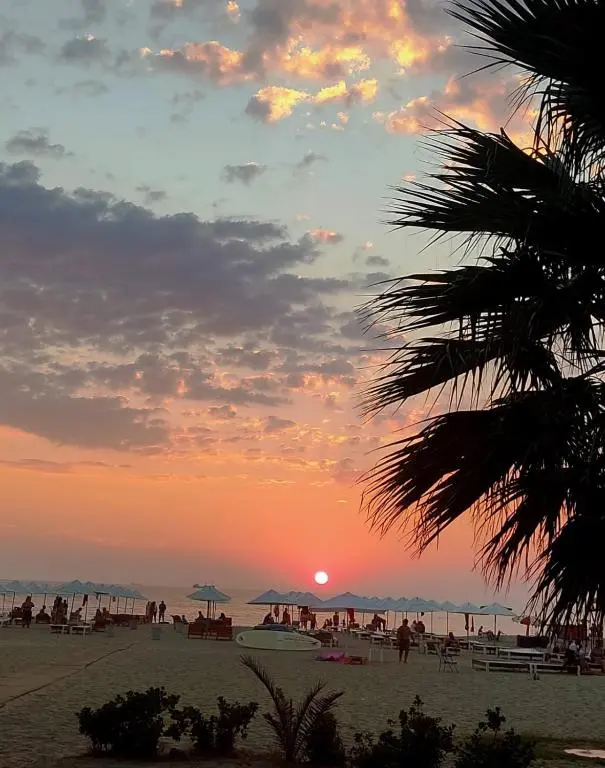 img_id_1668243.webp