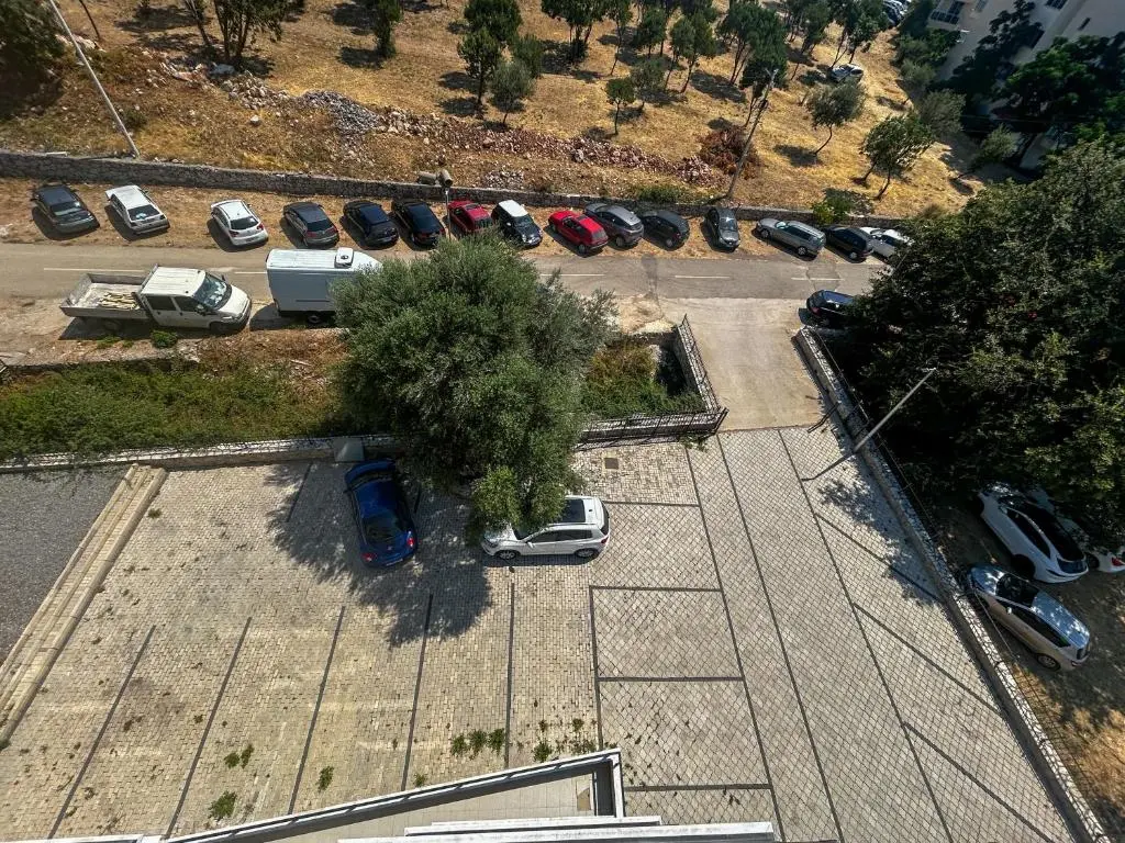 img_id_2354166.webp