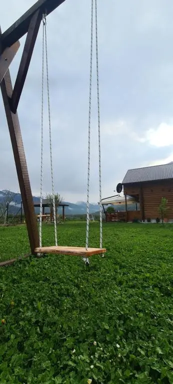 img_id_2353868.webp