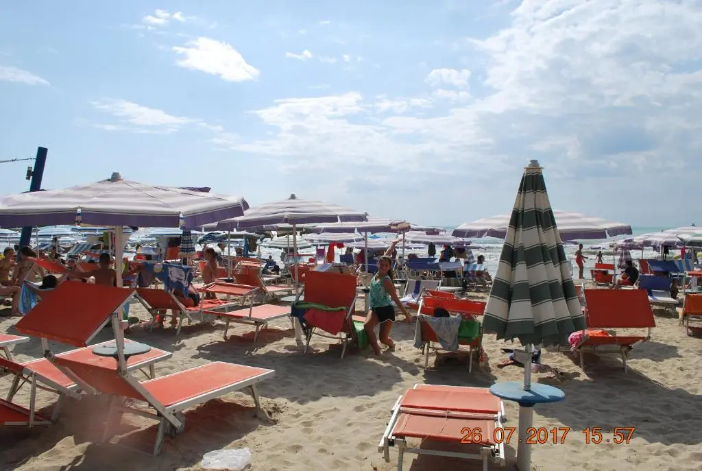 img_id_1436866.webp