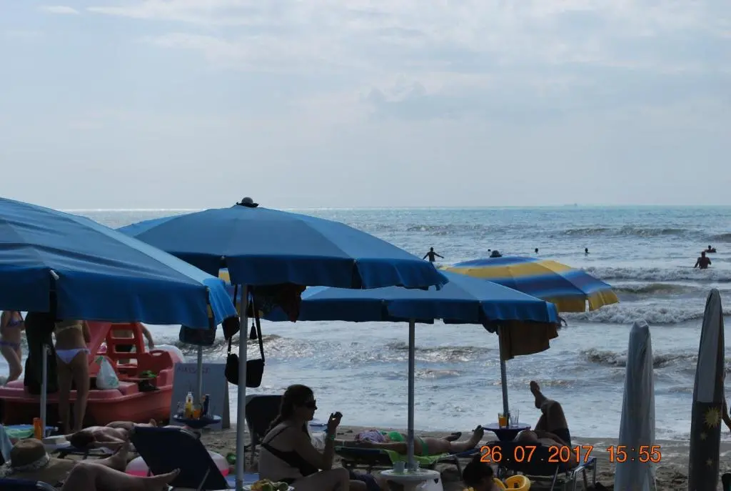 img_id_1436871.webp
