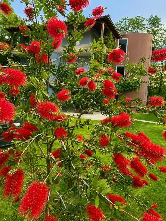 img_id_945964.webp