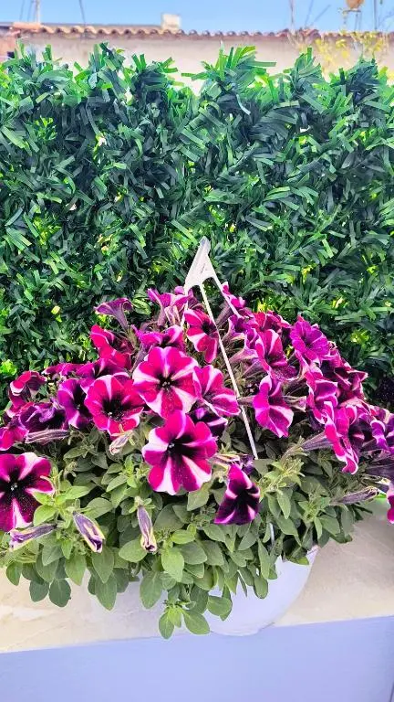 img_id_1426429.webp
