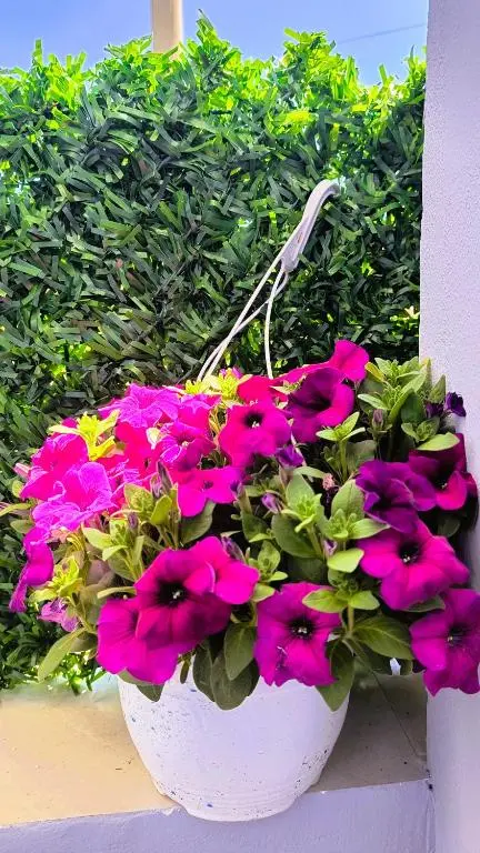 img_id_1426433.webp