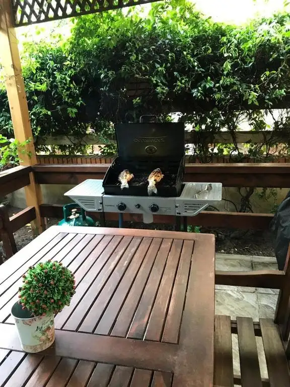 img_id_703695.webp