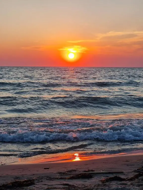 img_id_1670746.webp