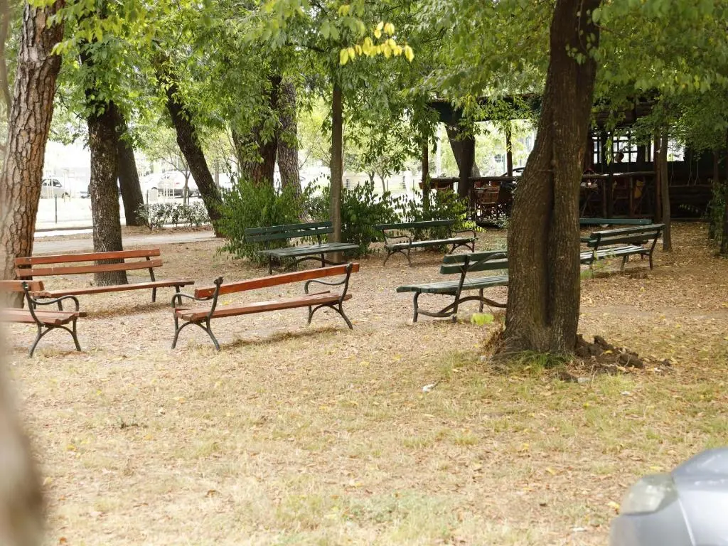 img_id_2351218.webp