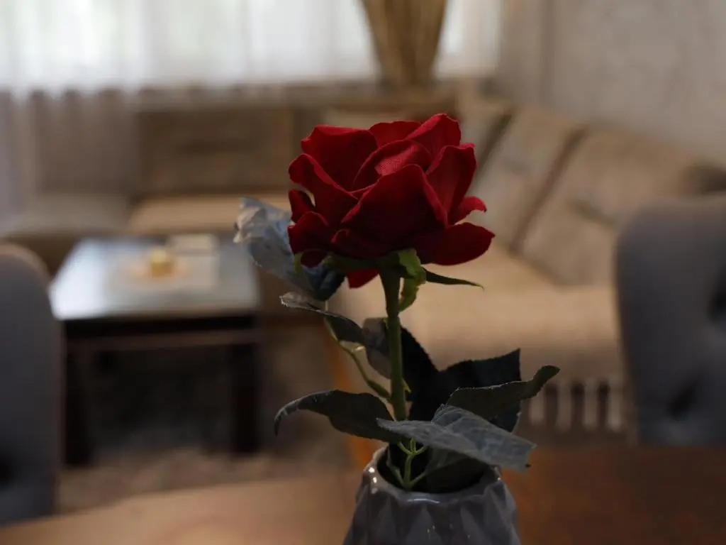 img_id_2351219.webp