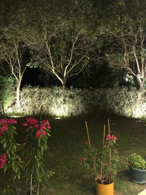 img_id_1206673.webp
