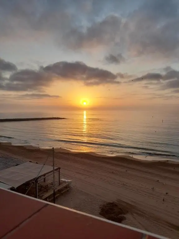 img_id_1176021.webp
