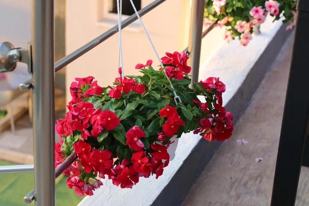 img_id_1218492.webp