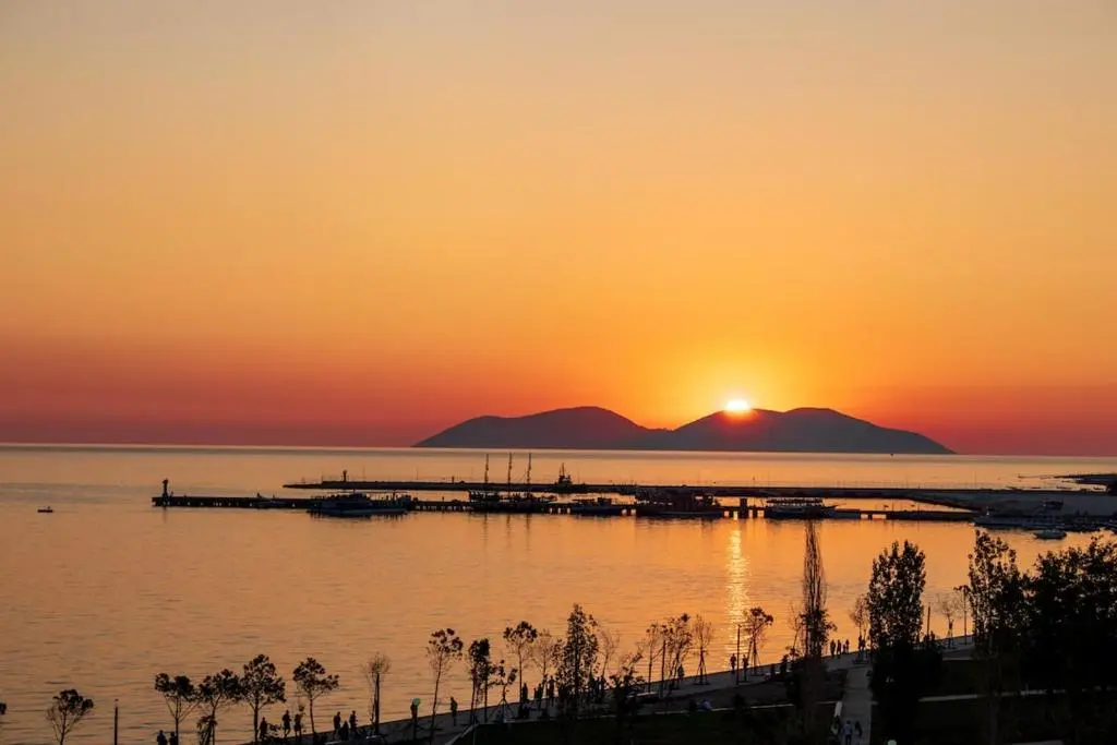 img_id_1426035.webp