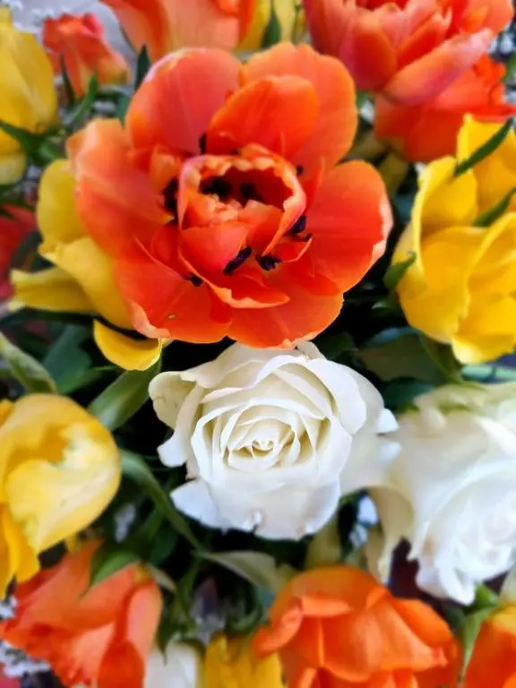img_id_1507817.webp