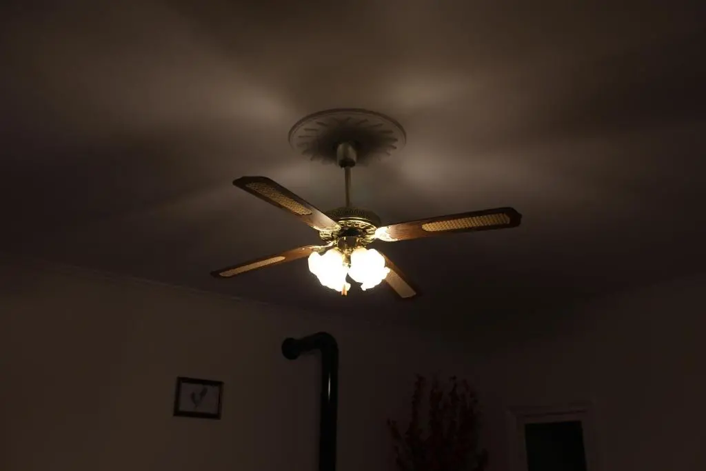 img_id_976718.webp