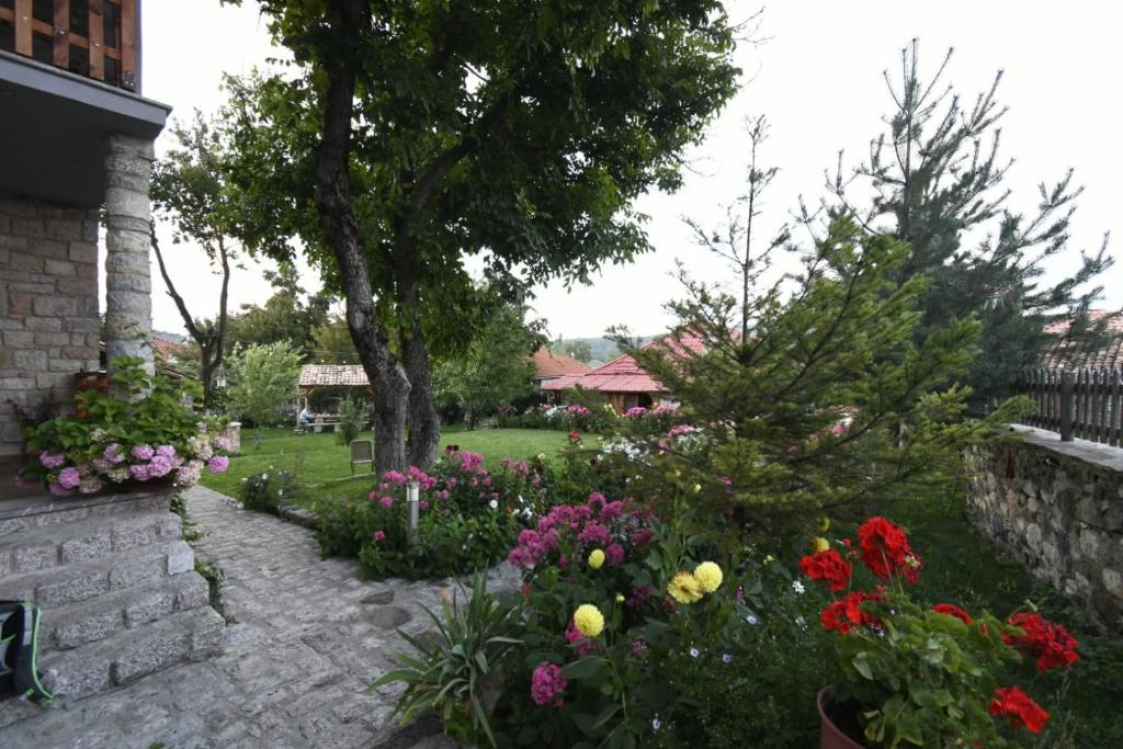 img_id_976370.jpg