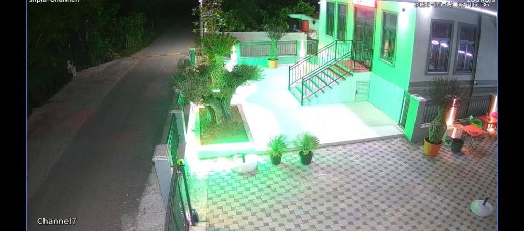 img_id_944735.jpg