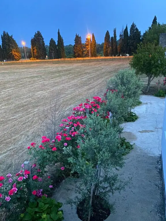 img_id_2347767.webp