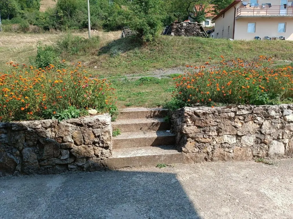 img_id_2347653.webp