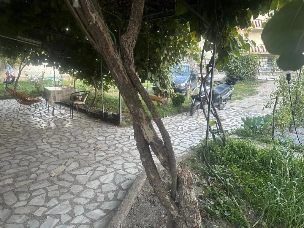 img_id_1161780.webp