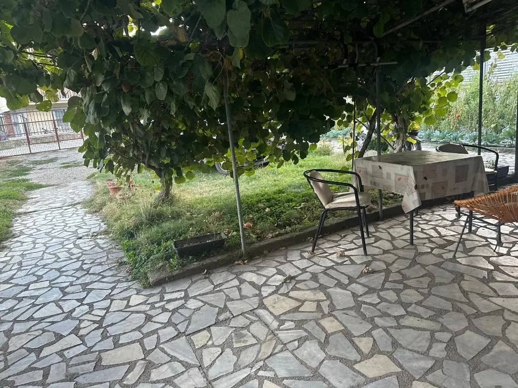 img_id_1161782.webp