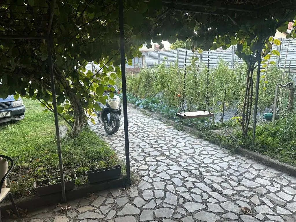 img_id_1161785.webp