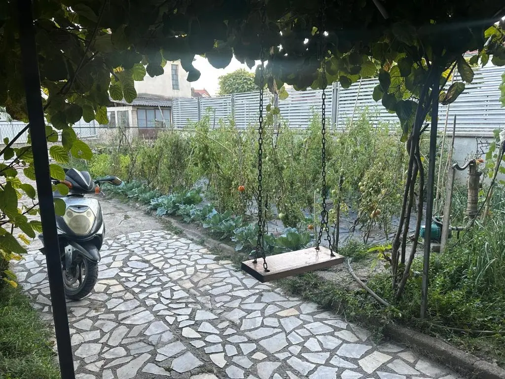 img_id_1161786.webp