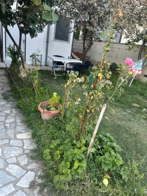 img_id_1161789.webp