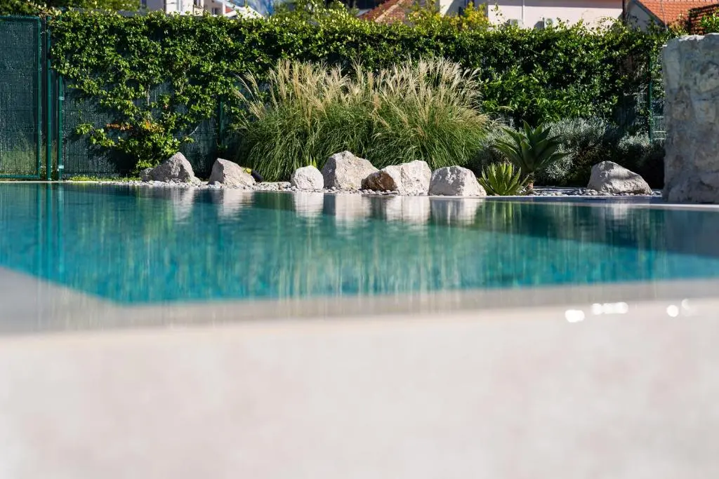 img_id_2344075.webp