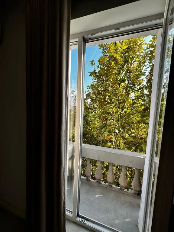 img_id_1711925.webp