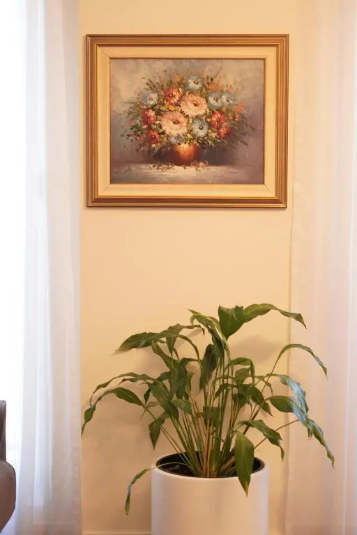 img_id_1159865.webp