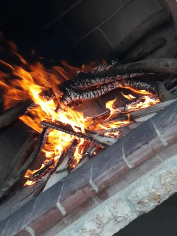img_id_1159811.webp