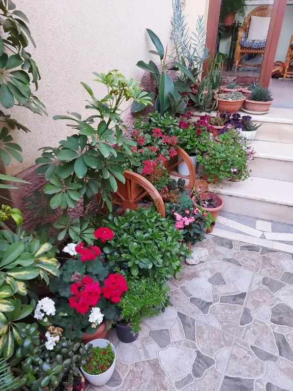 img_id_632618.webp