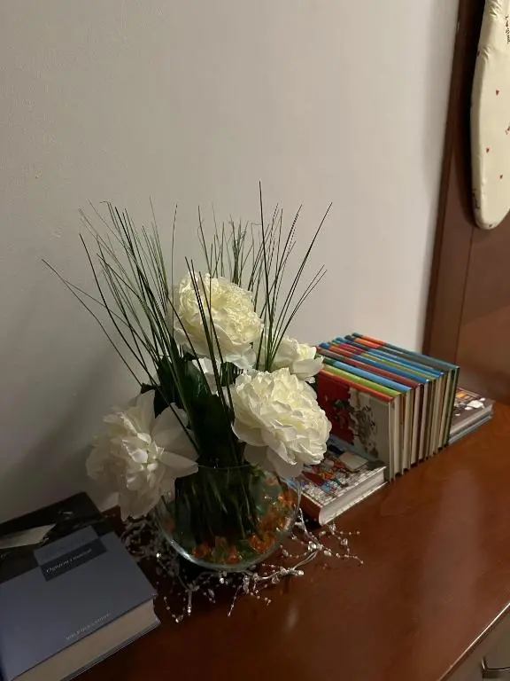 img_id_2342944.webp