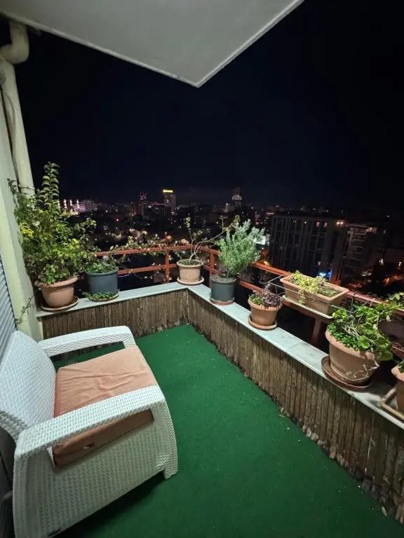 img_id_972659.webp