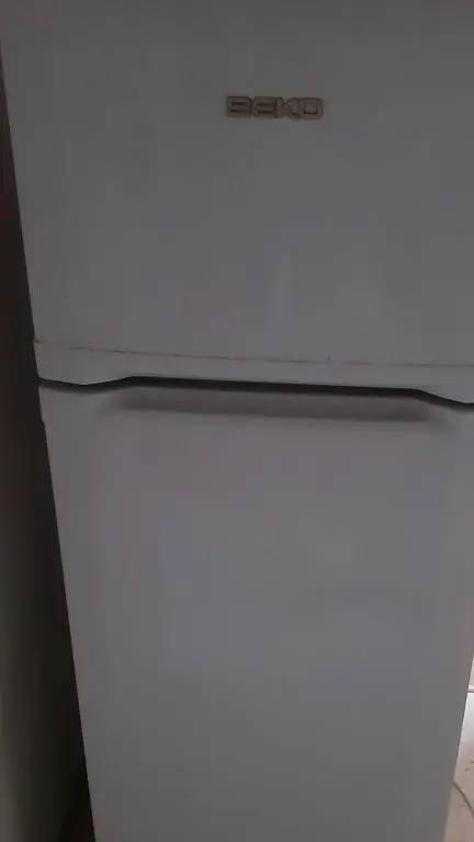 img_id_2341381.webp