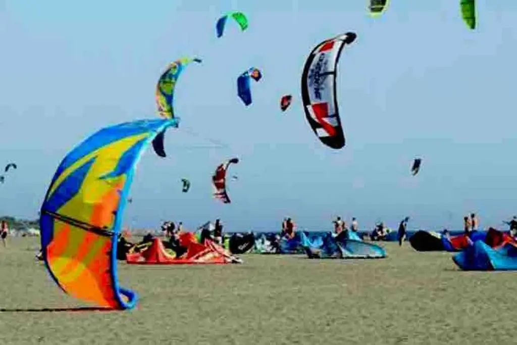 img_id_2340189.webp