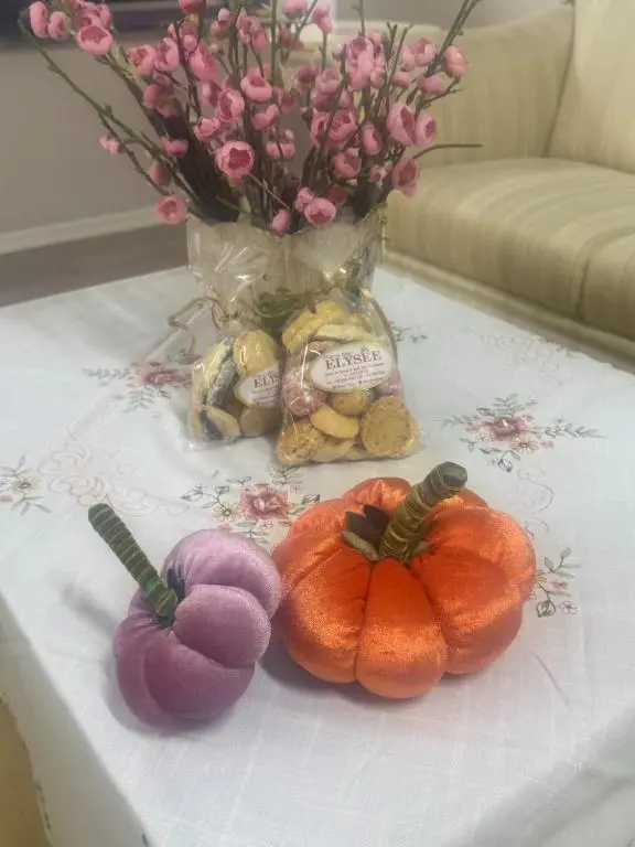 img_id_1713300.webp
