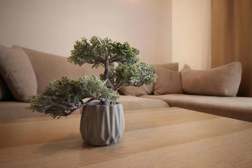 img_id_2339730.webp