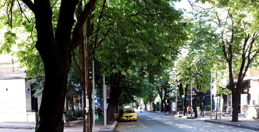 img_id_1656255.webp
